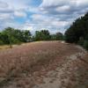 NaturaTrail auf der Insel Buhnenwerder, Brandenburg